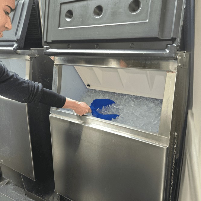 A person scooping Hoshizaki KM Crescent Ice from a stainless steel commercial ice storage bin