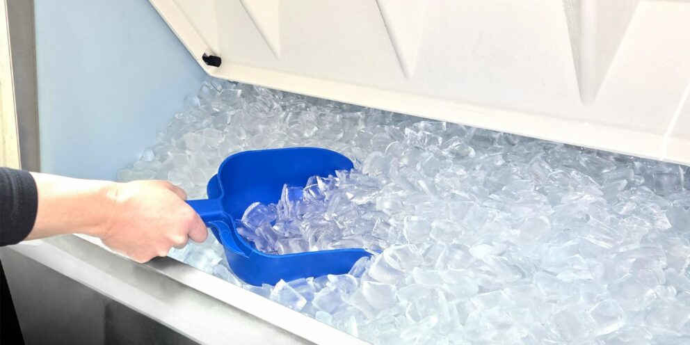 Hand scooping clear ice from a Hoshizaki commercial ice storage bin